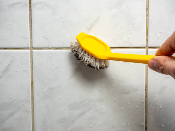  Rancho Santa Fe, CA Mold Removal Pros