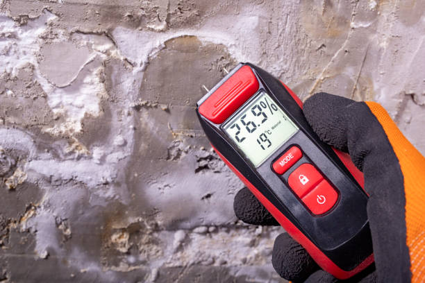 Best Toxic Mold Removal  in Rancho Santa Fe, CA
