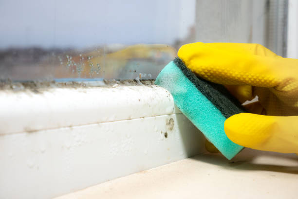 Best Mold Testing  in Rancho Santa Fe, CA