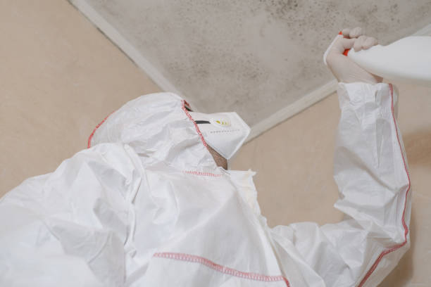 Best Office Mold Removal Services  in Rancho Santa Fe, CA