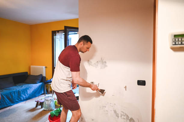 Best Mold Removal Near Me  in Rancho Santa Fe, CA