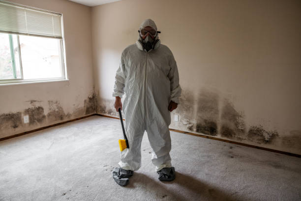 Best Emergency Mold Removal  in Rancho Santa Fe, CA
